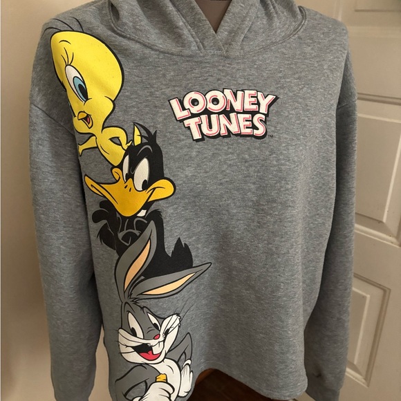 Warner Bros. Sweaters - Warner Bros. Looney Tunes Gray Sweatshirt
